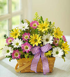 Springtime Wishes Flower Power, Florist Davenport FL